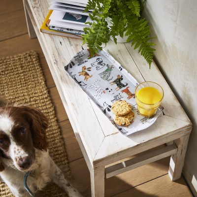 Ulster Weavers Dog Days Small Tray