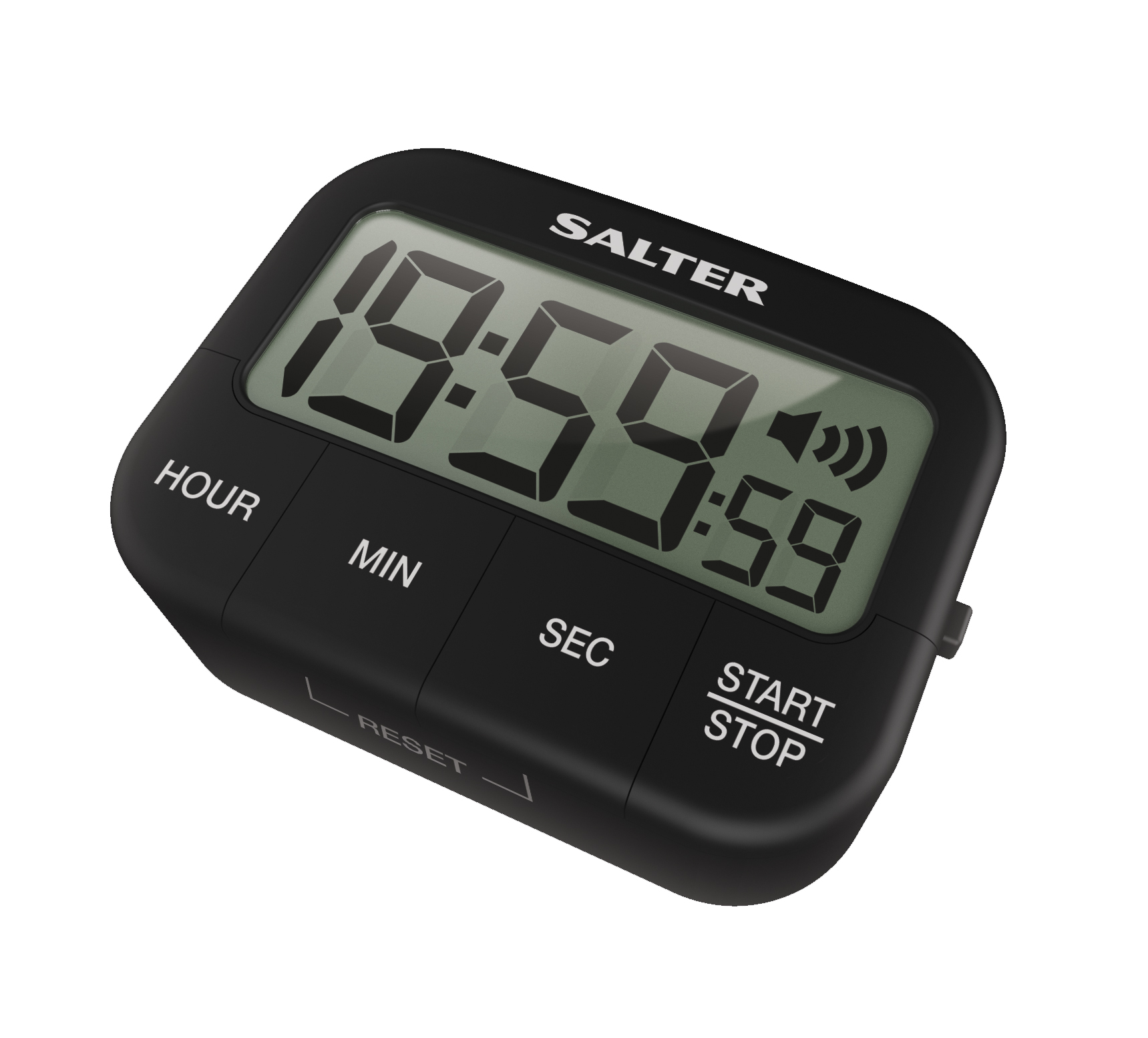 Salter Loud Electronic Timer